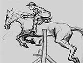 Stallion Graphics Storyboard